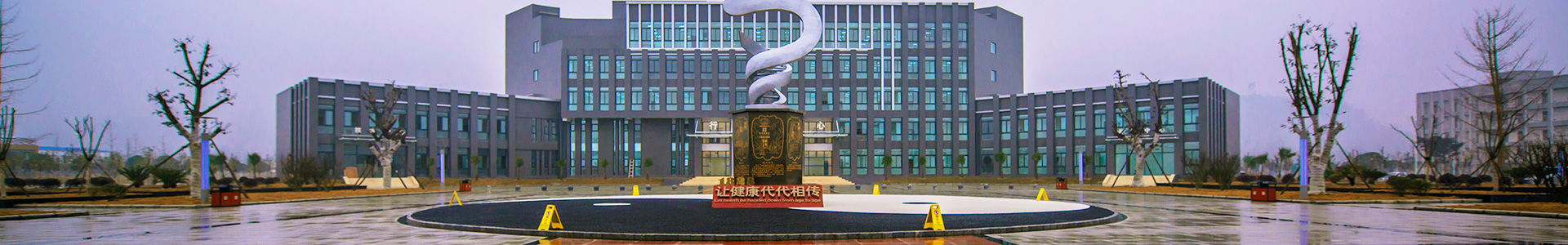 企業(yè)榮譽(yù)banner