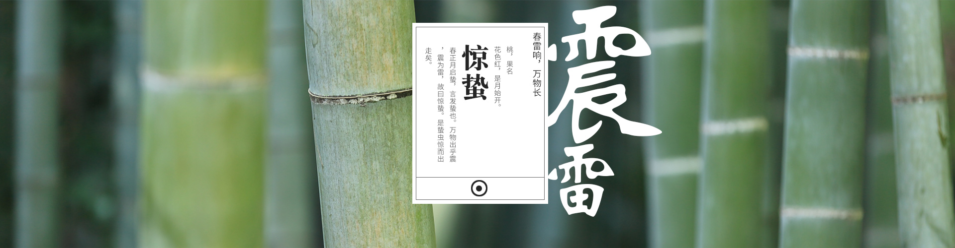 節(jié)氣廚房banner